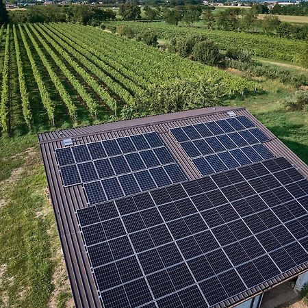 Agriturismo Zappare Farm Hotel Trevignano Exteriör bild